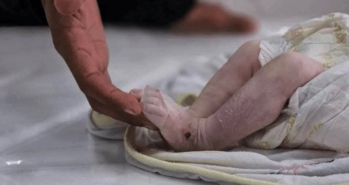 Bébés morts de froid ou dévorés par des chiens errants : la « normalité » à&nbsp;Gaza